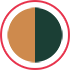 FILACTIVE 38-113 38-113-004